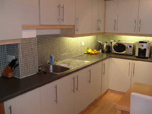 flat_kitchen2.jpg