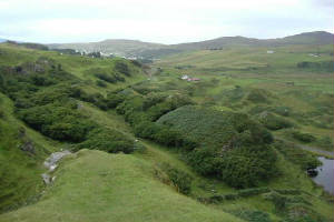 scotland_day3_faerieglen2.jpg