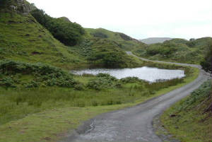 scotland_day3_faerieglen3.jpg