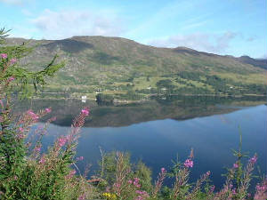 scotland_day4_lochcarron2.jpg