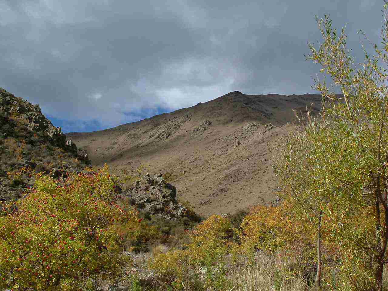benmore_hills.jpg