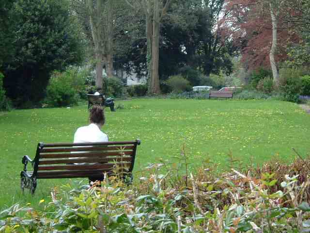 bristol_garden.jpg