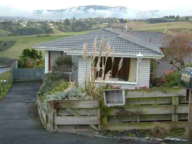 nz_house1.jpg