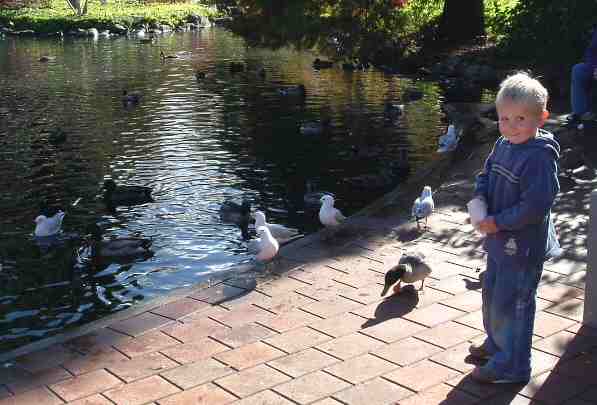 nz_jayden_ducks.jpg