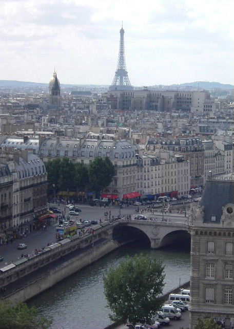 paris_notredame_view.jpg