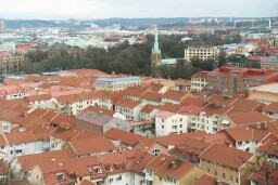 sweden_roofs.jpg