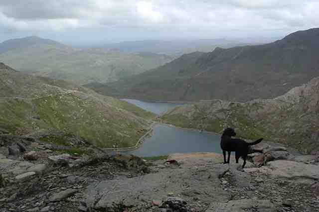 wales_snowdon3.jpg